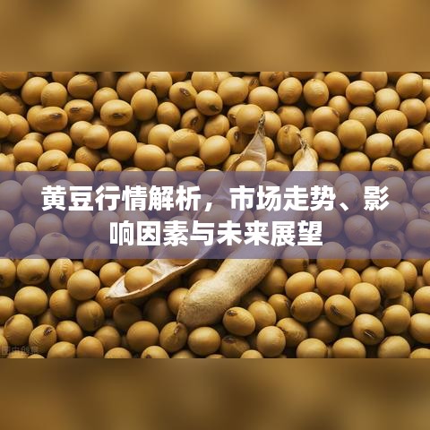 黄豆行情解析，市场走势、影响因素与未来展望