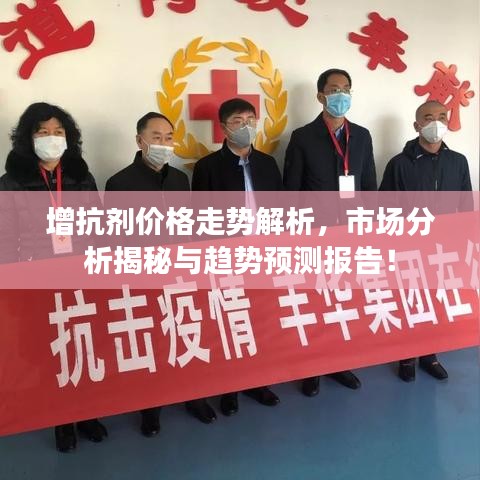 增抗剂价格走势解析，市场分析揭秘与趋势预测报告！