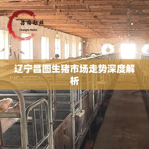 辽宁昌图生猪市场走势深度解析