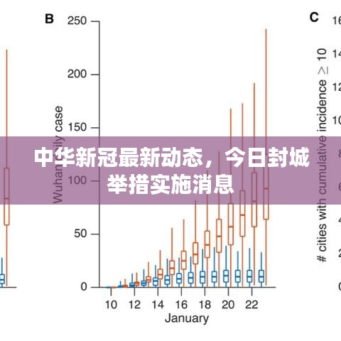 中华新冠最新动态，今日封城举措实施消息