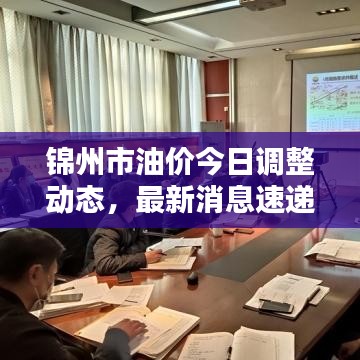 锦州市油价今日调整动态，最新消息速递