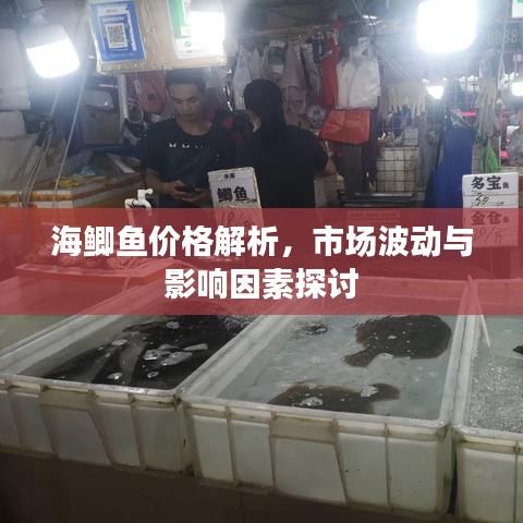 海鲫鱼价格解析，市场波动与影响因素探讨