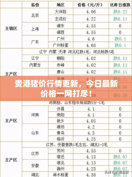 贵港猪价行情更新，今日最新价格一网打尽！