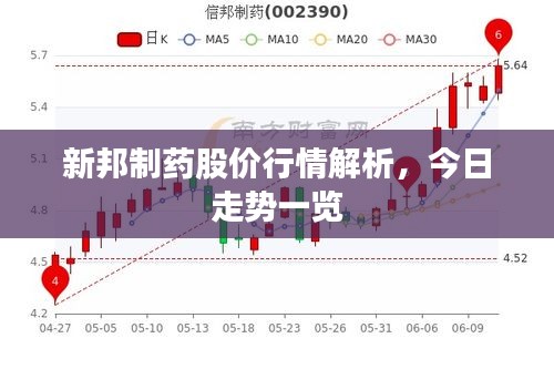 新邦制药股价行情解析，今日走势一览