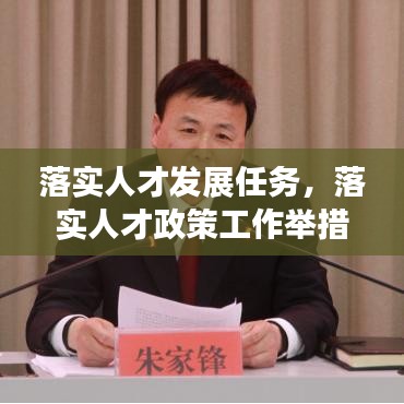 落实人才发展任务，落实人才政策工作举措 