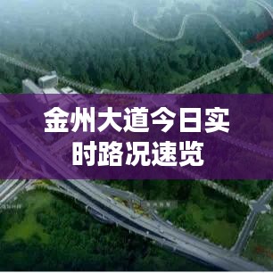 金州大道今日实时路况速览