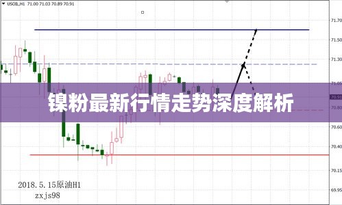 镍粉最新行情走势深度解析