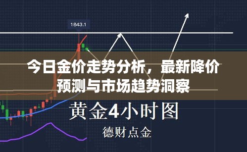 今日金价走势分析，最新降价预测与市场趋势洞察