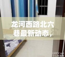 龙河西路北六巷最新动态，新闻头条抢先看