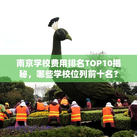 南京学校费用排名TOP10揭秘，哪些学校位列前十名？