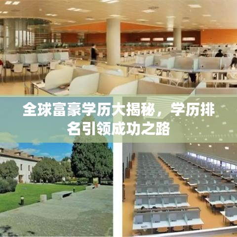 全球富豪学历大揭秘，学历排名引领成功之路