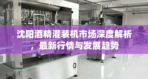 沈阳酒精灌装机市场深度解析，最新行情与发展趋势