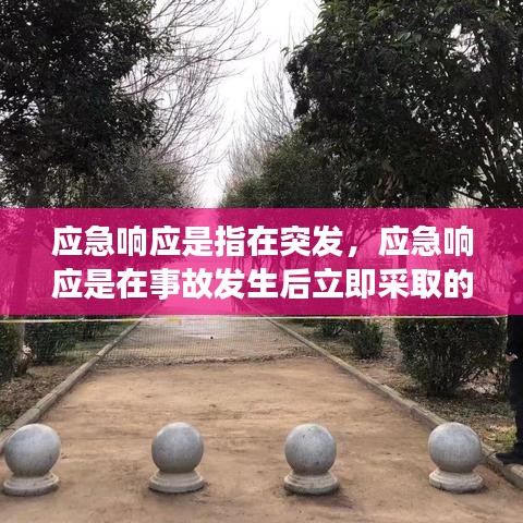 应急响应是指在突发，应急响应是在事故发生后立即采取的应急与救援活动 