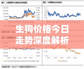 生狗价格今日走势深度解析