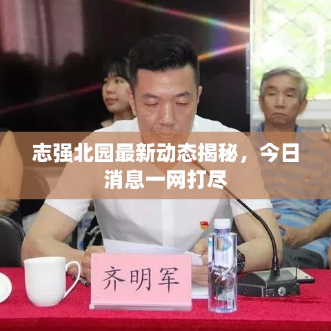 志强北园最新动态揭秘，今日消息一网打尽