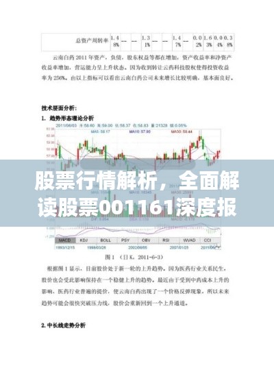 股票行情解析，全面解读股票001161深度报告