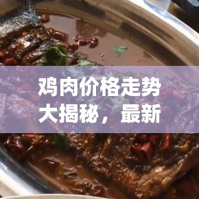 鸡肉价格走势大揭秘，最新消息、市场动态与未来展望