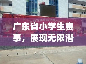 广东省小学生赛事，展现无限潜力的精彩舞台