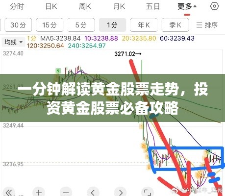 一分钟解读黄金股票走势，投资黄金股票必备攻略