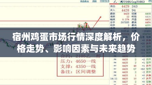 2025年2月16日 第4页