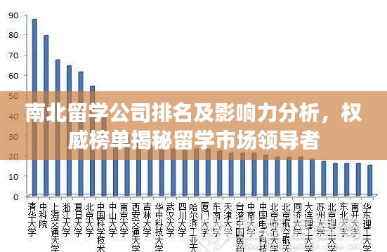 南北留学公司排名及影响力分析，权威榜单揭秘留学市场领导者