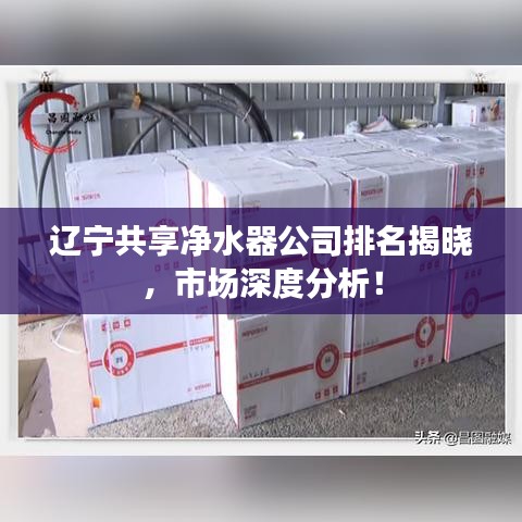 辽宁共享净水器公司排名揭晓，市场深度分析！