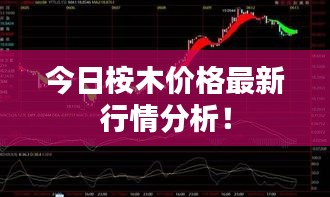 今日桉木价格最新行情分析！