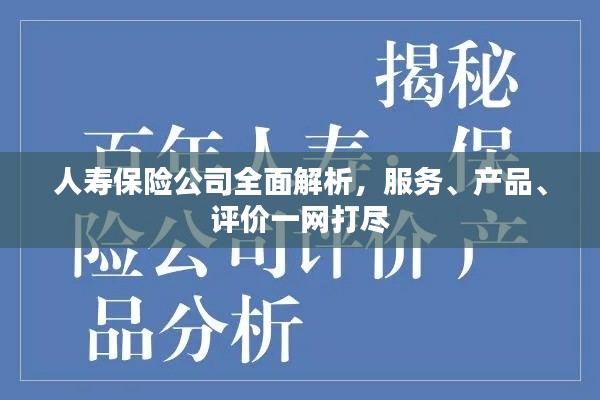 人寿保险公司全面解析，服务、产品、评价一网打尽