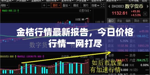 金桔行情最新报告，今日价格行情一网打尽