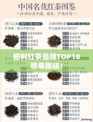 榆树红茶品牌TOP10榜单揭晓！