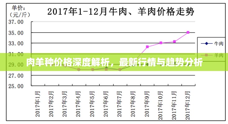 肉羊种价格深度解析，最新行情与趋势分析