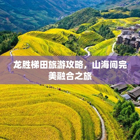 龙胜梯田旅游攻略，山海间完美融合之旅