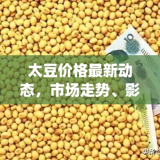 太豆价格最新动态，市场走势、影响因素深度解析