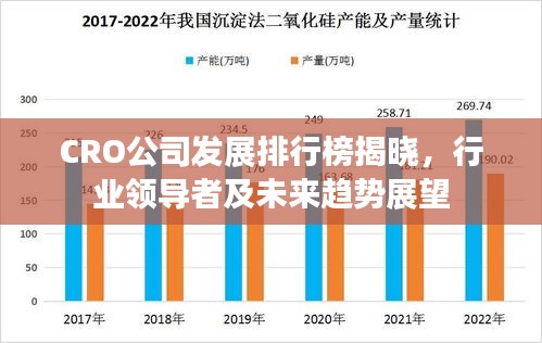 CRO公司发展排行榜揭晓，行业领导者及未来趋势展望