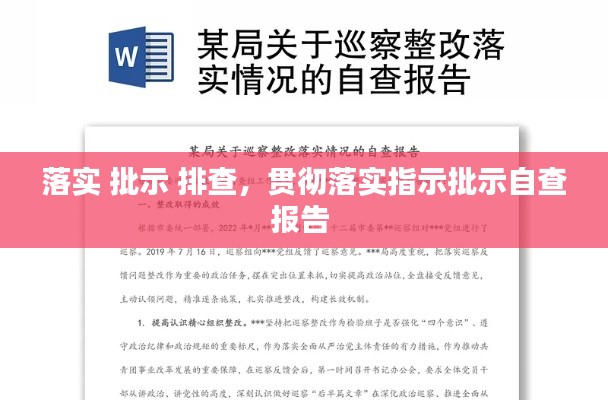 落实 批示 排查，贯彻落实指示批示自查报告 