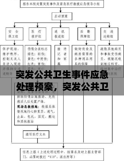 突发公共卫生事件应急处理预案，突发公共卫生事件应急预案及处理流程 