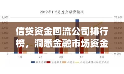 信贷资金回流公司排行榜，洞悉金融市场资金流向动态！