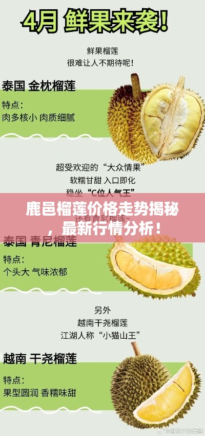 鹿邑榴莲价格走势揭秘，最新行情分析！