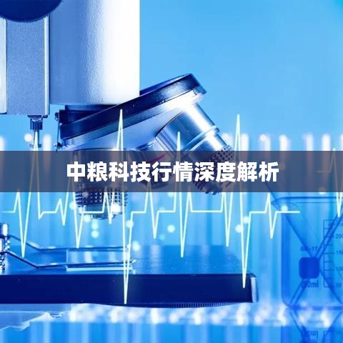 中粮科技行情深度解析