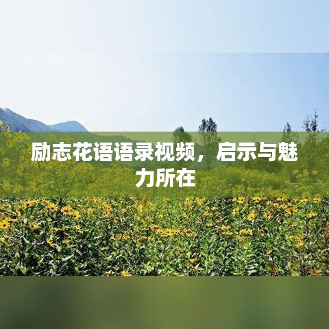 励志花语语录视频，启示与魅力所在