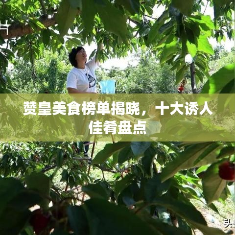 赞皇美食榜单揭晓，十大诱人佳肴盘点