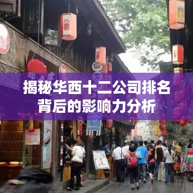 揭秘华西十二公司排名背后的影响力分析