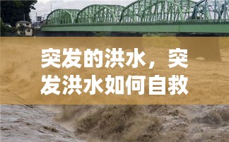 突发的洪水，突发洪水如何自救 