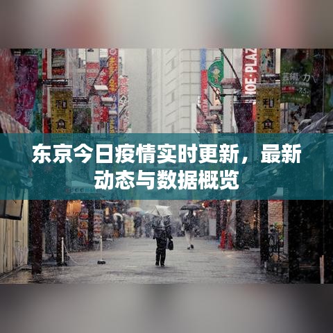 东京今日疫情实时更新，最新动态与数据概览