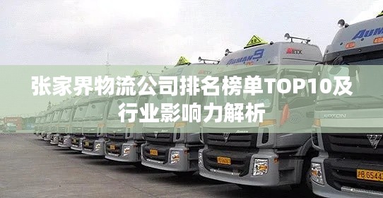 张家界物流公司排名榜单TOP10及行业影响力解析