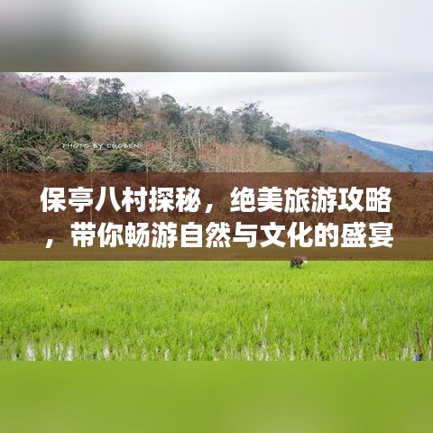 保亭八村探秘，绝美旅游攻略，带你畅游自然与文化的盛宴