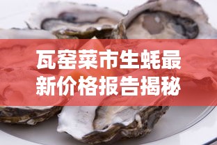 瓦窑菜市生蚝最新价格报告揭秘，新鲜实惠，品质有保障！