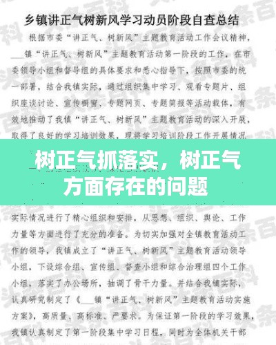 树正气抓落实，树正气方面存在的问题 