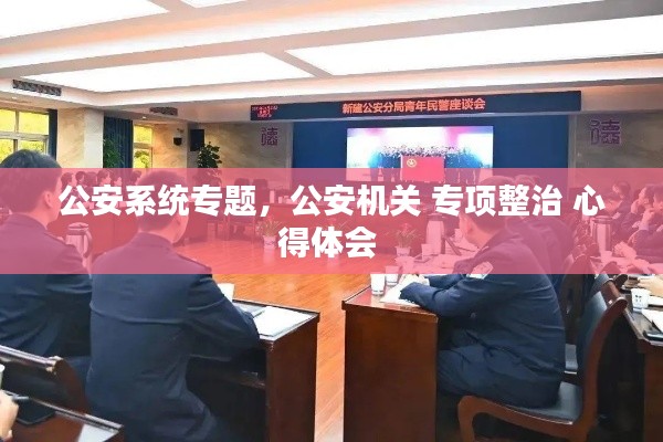 公安系统专题，公安机关 专项整治 心得体会 