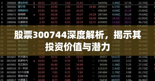 股票300744深度解析，揭示其投资价值与潜力